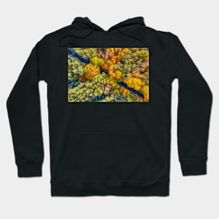 Aerial view of road through colorful autumn forest Hoodie
